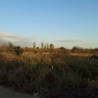 باغچه ۳۰۰ متری در روستای زان آبسرد|فروش زمین و ملک کلنگی|دماوند, دماوند|دیوار