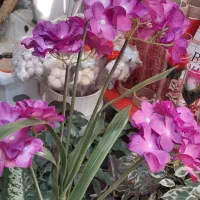 انواع گل مصنوئی باکس سبددسته گل شاخه ای قیمت مناسب|گل مصنوعی|تبریز, |دیوار