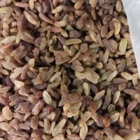 کشمش|خوردنی و آشامیدنی|عسلویه, |دیوار