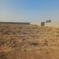 زمین باغی ، کشاورزی در حاجی آباد