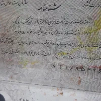 مدارک گمشده