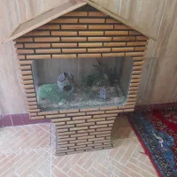 آکواریوم ماهی