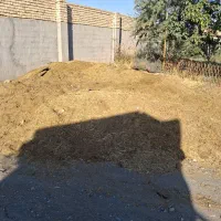 کود گوسفندی