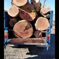 خرید انواع چوب با بالا ترین قیمت|خدمات باغبانی و درختکاری|دورود, |دیوار