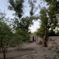 فروش باغ در نوجه ده|فروش زمین و ملک کلنگی|شبستر, |دیوار