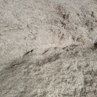 کاه سفید (گندم)|حیوانات مزرعه|طسوج, |دیوار