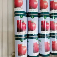 بذر خیار گوجه هندوانه ملون خربزه، صیفی و سبزیجات|خدمات باغبانی و درختکاری|تهران, شوش|دیوار