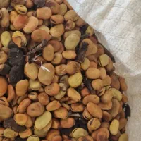 باقلا