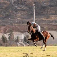 کارگر باشگاه سوارکاری