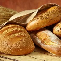 استخدام در نان فانتزی