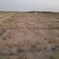 ۱ هکتار باغ پسته مهماندوست