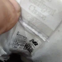 چند عدد کتونی خارجی|کیف، کفش، کمربند|رشت, گلزاران|دیوار