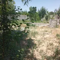 415-متر-زمین-طلایی-در-ارکیده-10-قاسم-آبادبزرگ