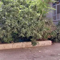 خانه ویلایی کلنگی|فروش زمین و ملک کلنگی|مشهد, راه آهن|دیوار