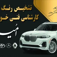 کارشناسی رنگ و فنی خودروهای ایرانی و خارجی