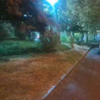 سرایدار ونگهبان