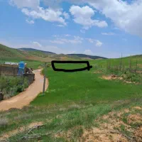 زمین باغ شهر|فروش زمین و ملک کلنگی|شیراز, کودیان|دیوار