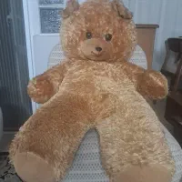 خرس شاسخین