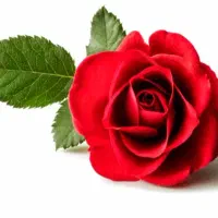 سیم کارت رند ایرانسل 09307051390