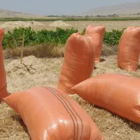 کاه تحویلی اطراف کرج و تهران و شمال|لوازم جانبی حیوانات|هشتگرد, شهرک ریحانه|دیوار