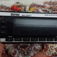 ظبط