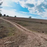 فروش زمین کشاورزی