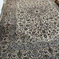 یک عدد قالی دستباف کرم|فرش|شیراز, شهرک آرین|دیوار