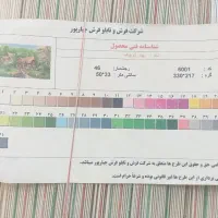 تابلو فرش  و دار با وسایل کامل|تابلو فرش|رشت, پل تالشان|دیوار