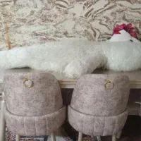 دو تا خرس بزرگ فروشی خرس عکس اولی با قد ۱۵۰|اسباببازی بچه|ارومیه, |دیوار