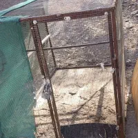 قفس|لوازم جانبی حیوانات|بم, |دیوار