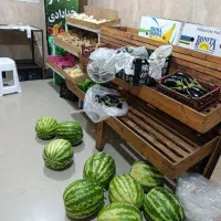 قفسه تره بار فروشی شیک و زیبا