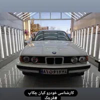 کارشناسی وتشخیص رنگ کارشناس خودرو کیانی|خدمات موتور و ماشین|قرچک, |دیوار