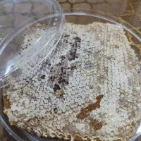 عسل طبیعی تکاب