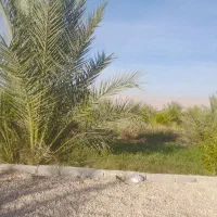 باغ-اجاره-ای