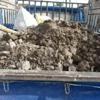 باغچه خاک موجود|گل و گیاه طبیعی|اهواز, کوی ملی راه|دیوار