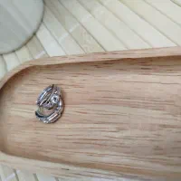 گوشواره روزمره ژوپینگ آبکاری طلا|بدلیجات|قم, در بهشت|دیوار