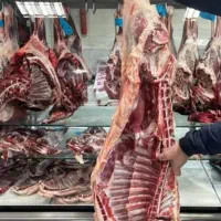 گوشت بره و میش تازه کشتار روز به قیمت عمده