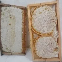 هنگوین طبیعی