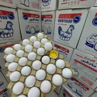 فروش عمده تخم‌مرغ