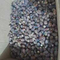 فروش ضایعات خرما