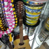 آکوستیک 12سیم|گیتار، بیس، امپلیفایر|بندرعباس, |دیوار