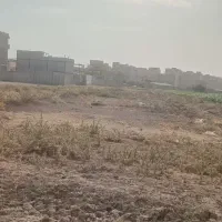 زمین-کشاورزی-نزدیک-بافت-شهر-در-ماهدشت