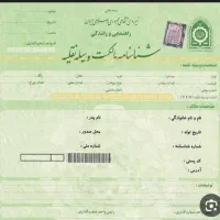 گم شدن سند موتور