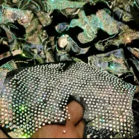 لباس نگین جیکو  توضیحات خونده بشه