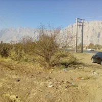 باغ گردو ومیوه پل چهر روبروی باربری نوروزی|فروش دفتر صنعتی، کشاورزی، تجاری|بیستون, |دیوار