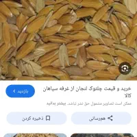 چلتوک کامفیروزی