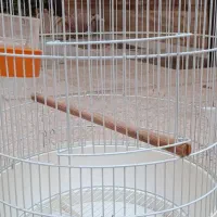 قفس گرد بزرگ پرنده