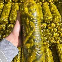 فروش خیارشور|عمده‌فروشی|اسالم, |دیوار