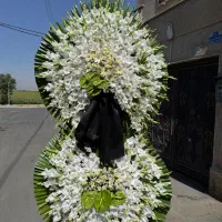 سبد و دسته گل و تاجگل|گل و گیاه طبیعی|شهریار, شهریار|دیوار