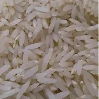 برنج طارم هاشمی سورت شده درجه یک به مقدار محدود